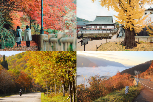飛驒地區・紅葉景點6選