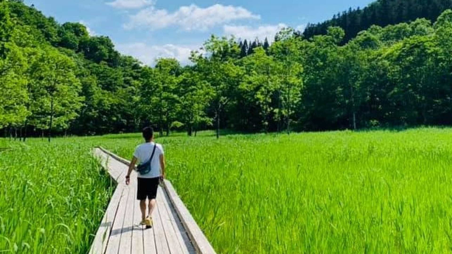 「旅遊達人」系列之三「遭遇花仙子！池之原濕地至古川老街一日遊」