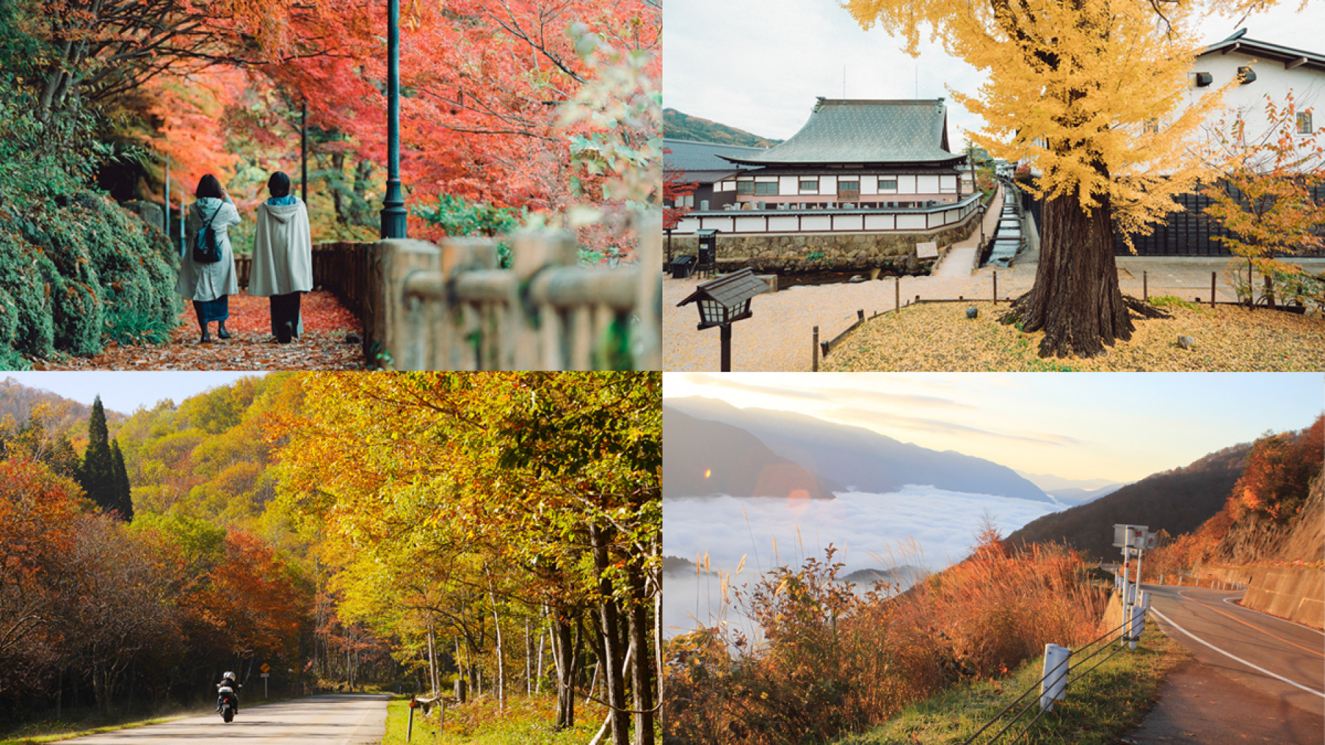 飛驒地區・紅葉景點6選