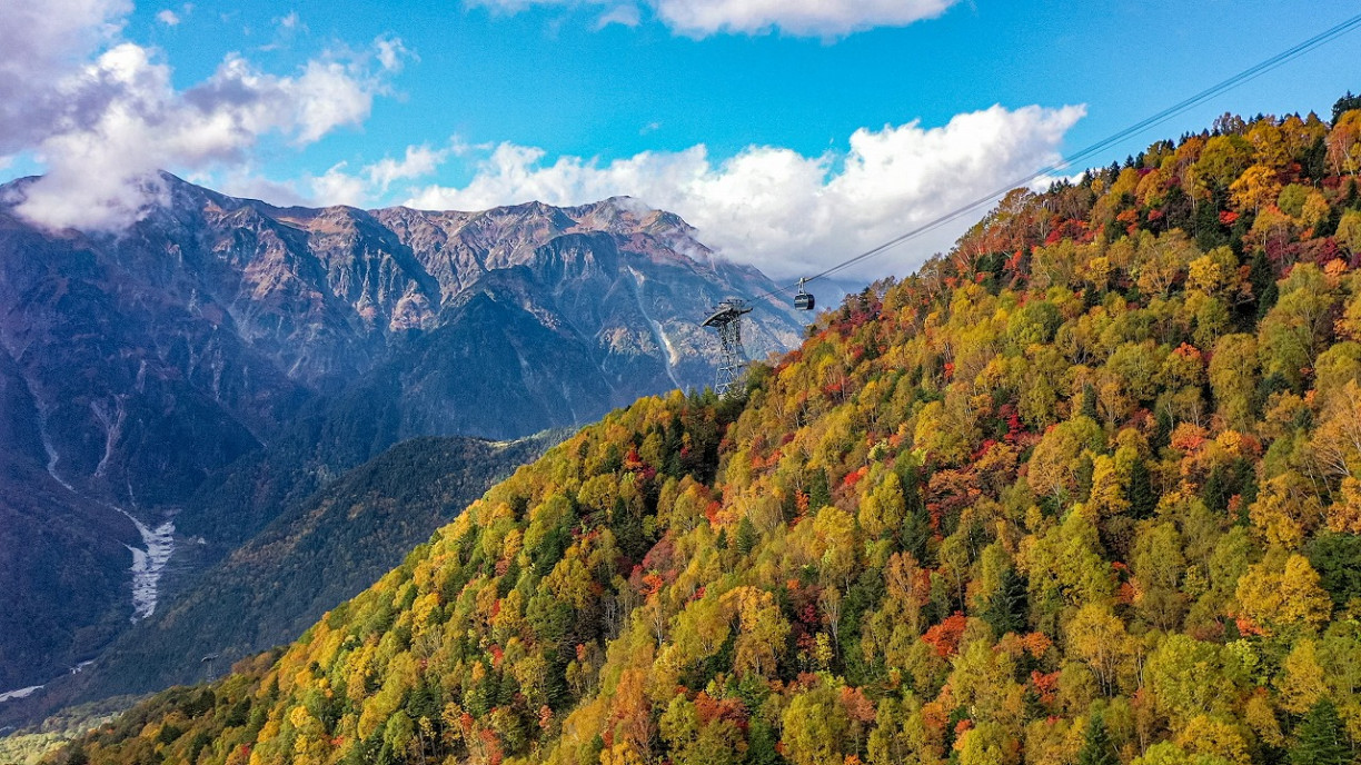 飛驒地區・紅葉景點6選