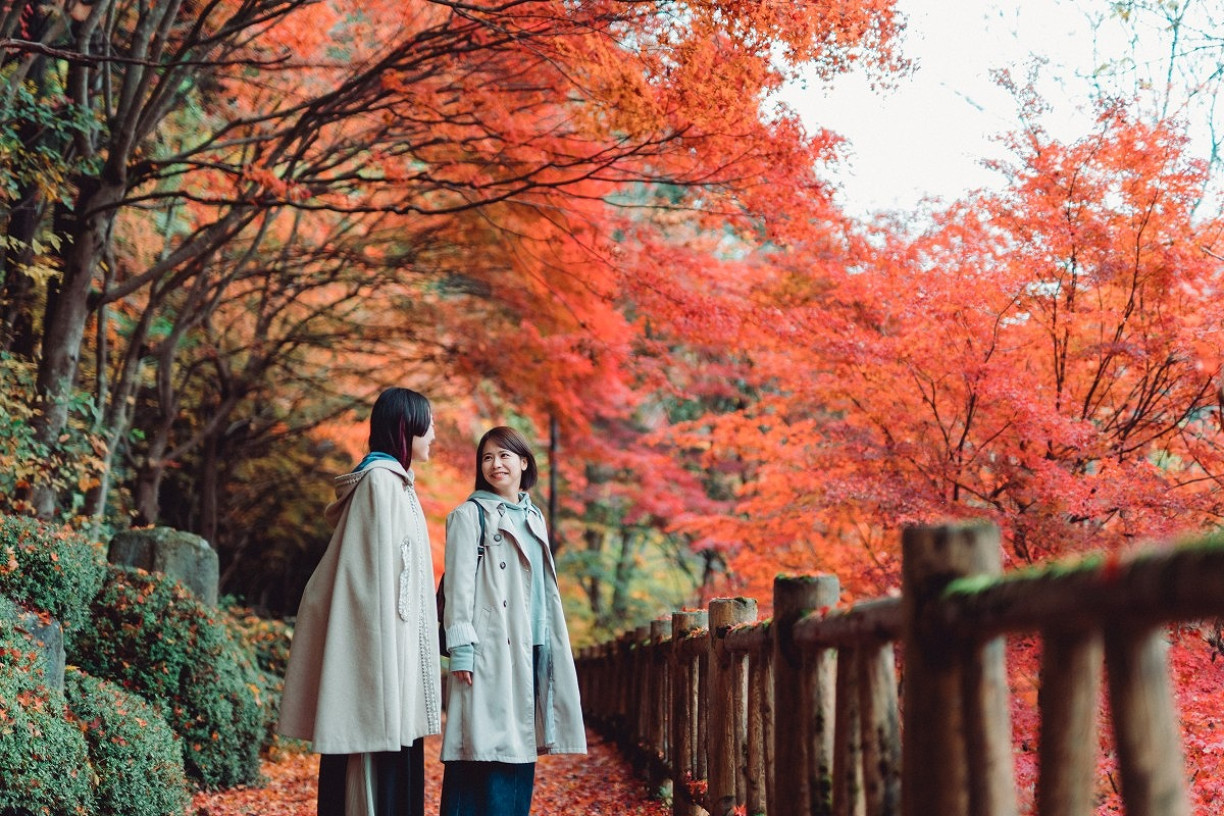 飛驒地區・紅葉景點6選