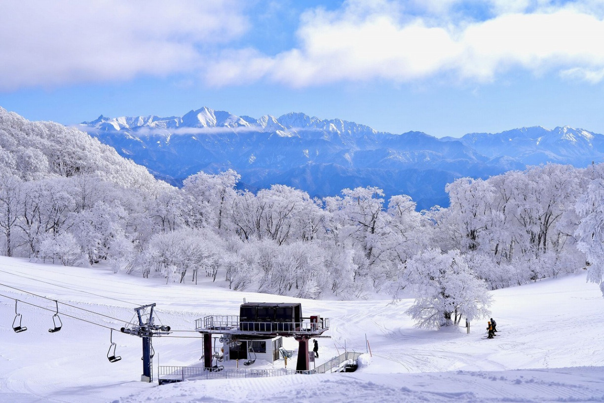滑雪、玩雪一次滿足！盡情享受飛驒冬季的5大人氣體驗