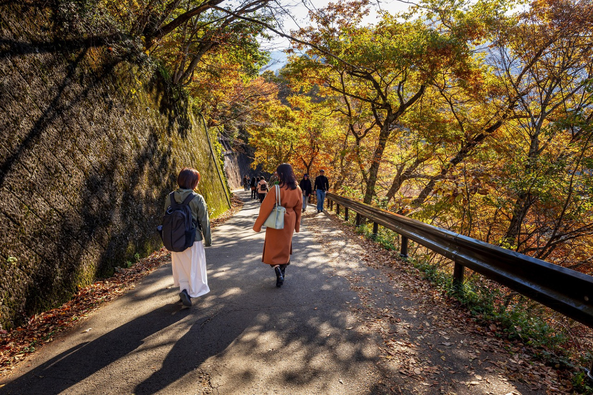 白川鄉 × 飛驒古川 慢慢走、靜靜待的療癒之旅