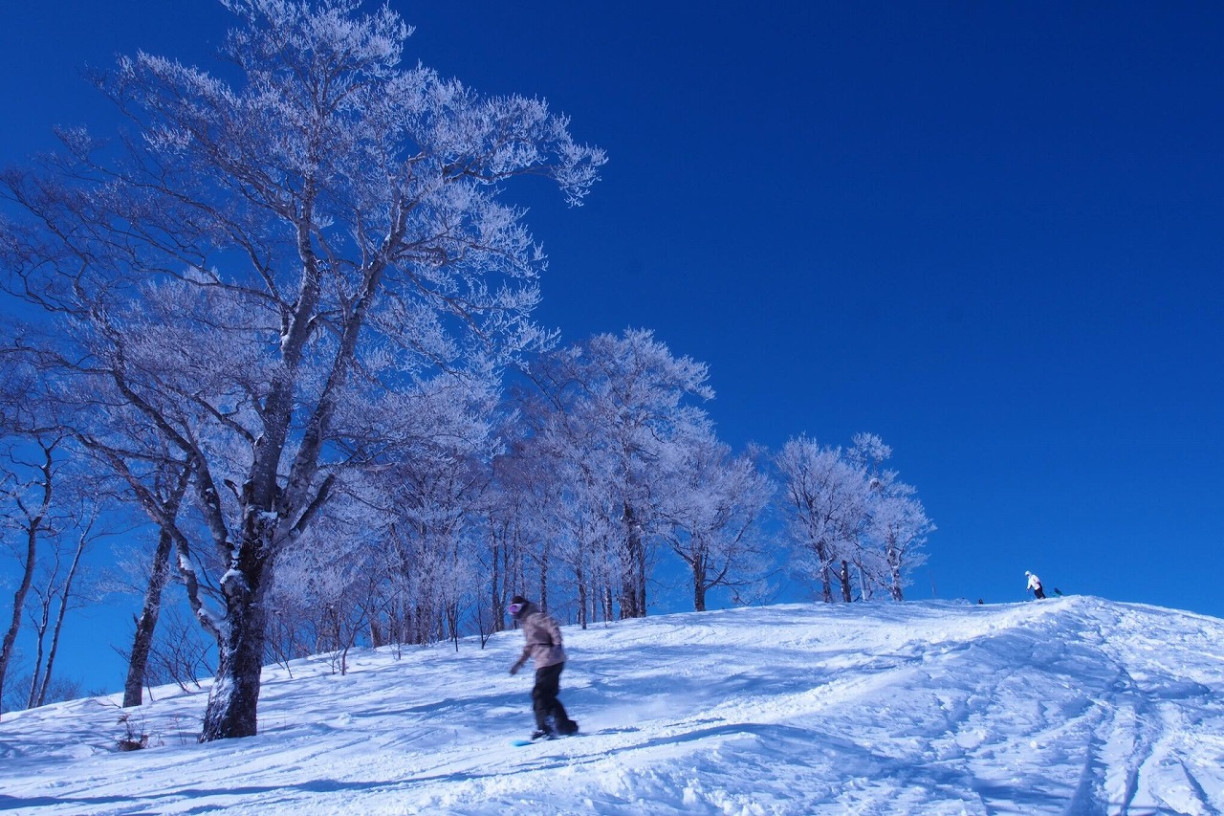 滑雪、玩雪一次滿足！盡情享受飛驒冬季的5大人氣體驗