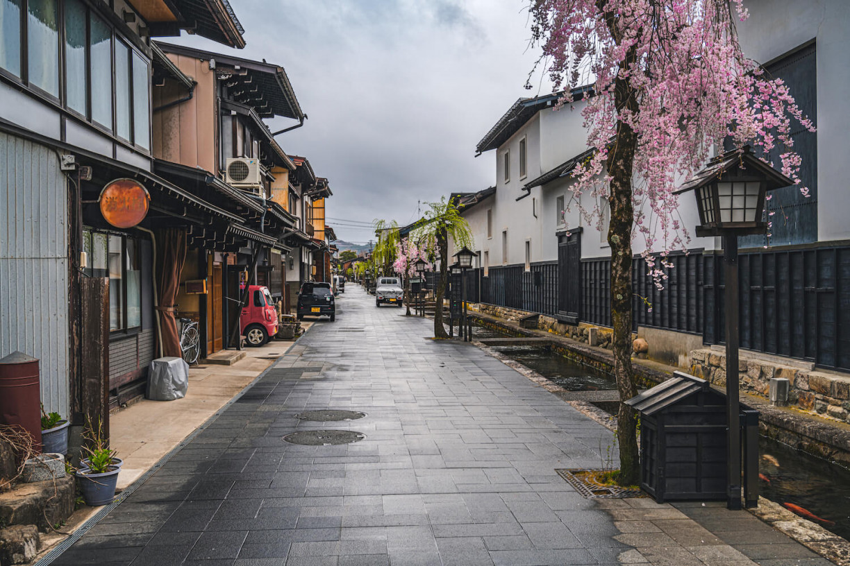 Near the end of the cherry blossom season