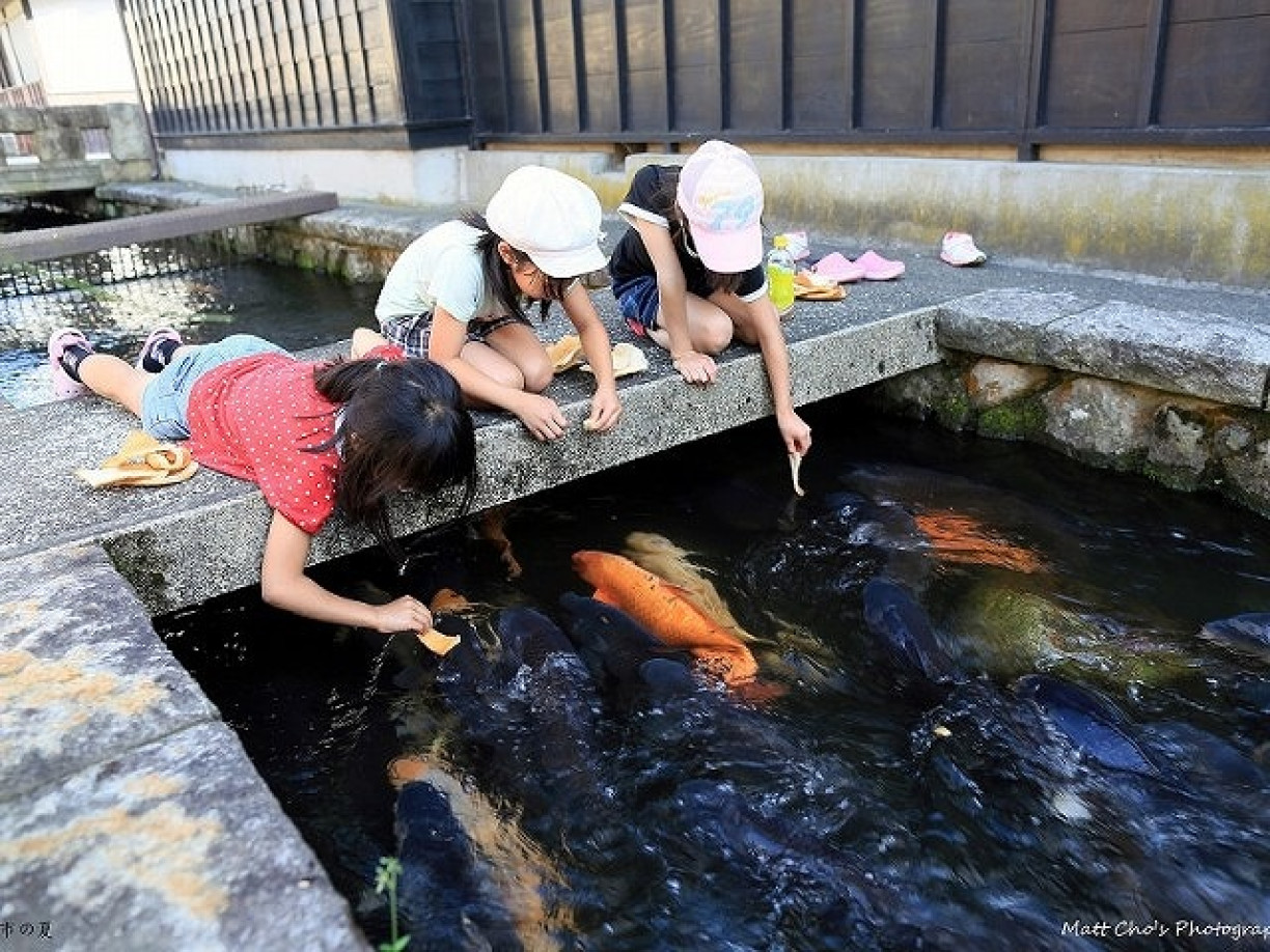 2026飛驒古川邊走邊吃