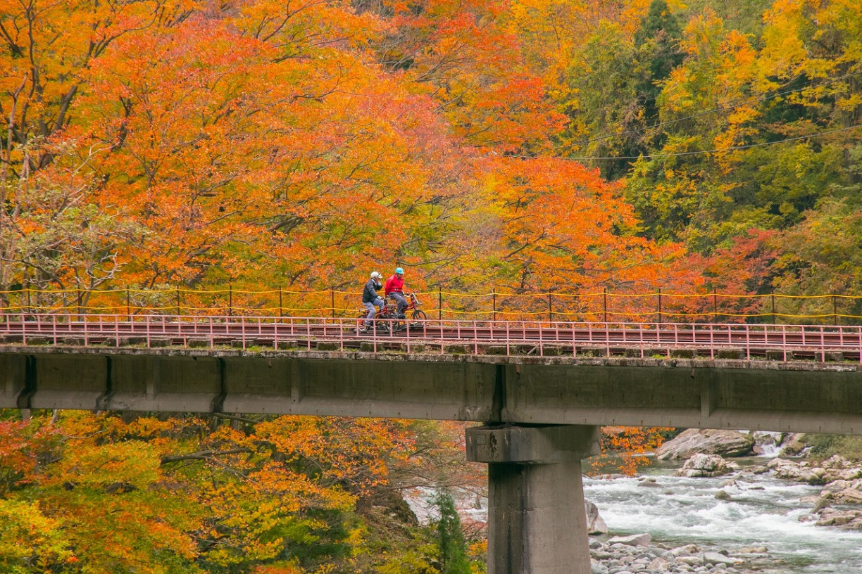 飛驒地區・紅葉景點6選