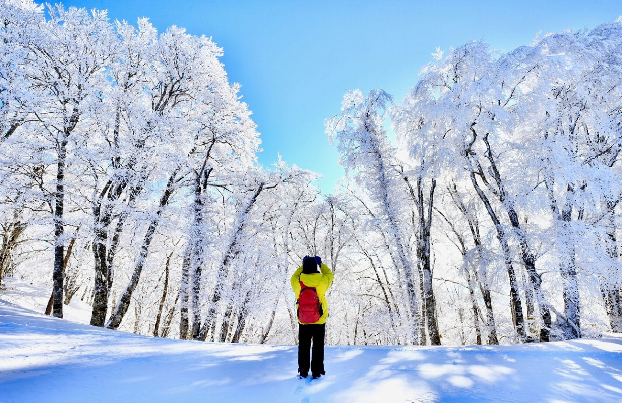 滑雪、玩雪一次滿足！盡情享受飛驒冬季的5大人氣體驗