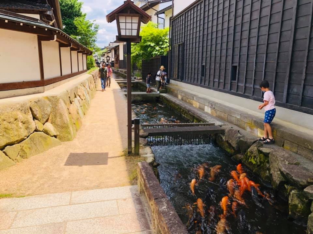「旅遊達人」系列之三「遭遇花仙子！池之原濕地至古川老街一日遊」