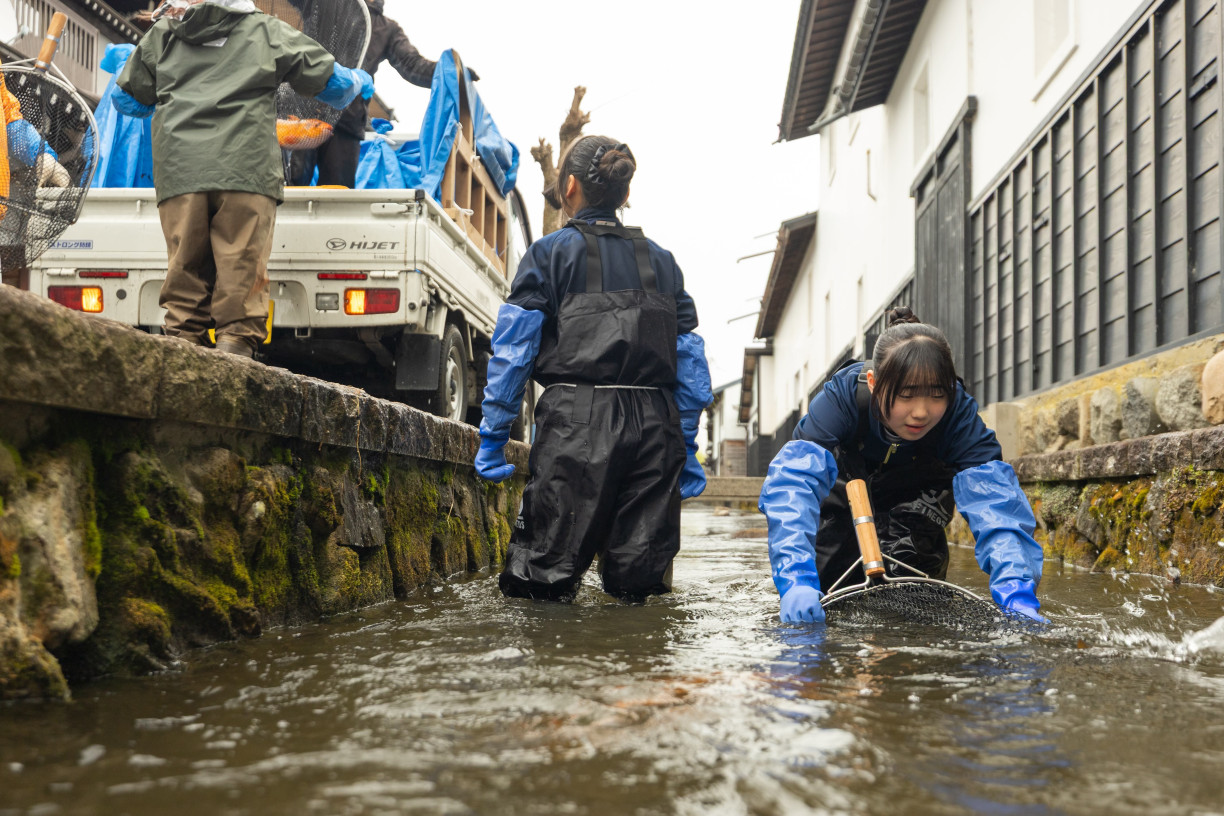High schoolers releasing koi into the Seto Canal (Fabien Recoquille)