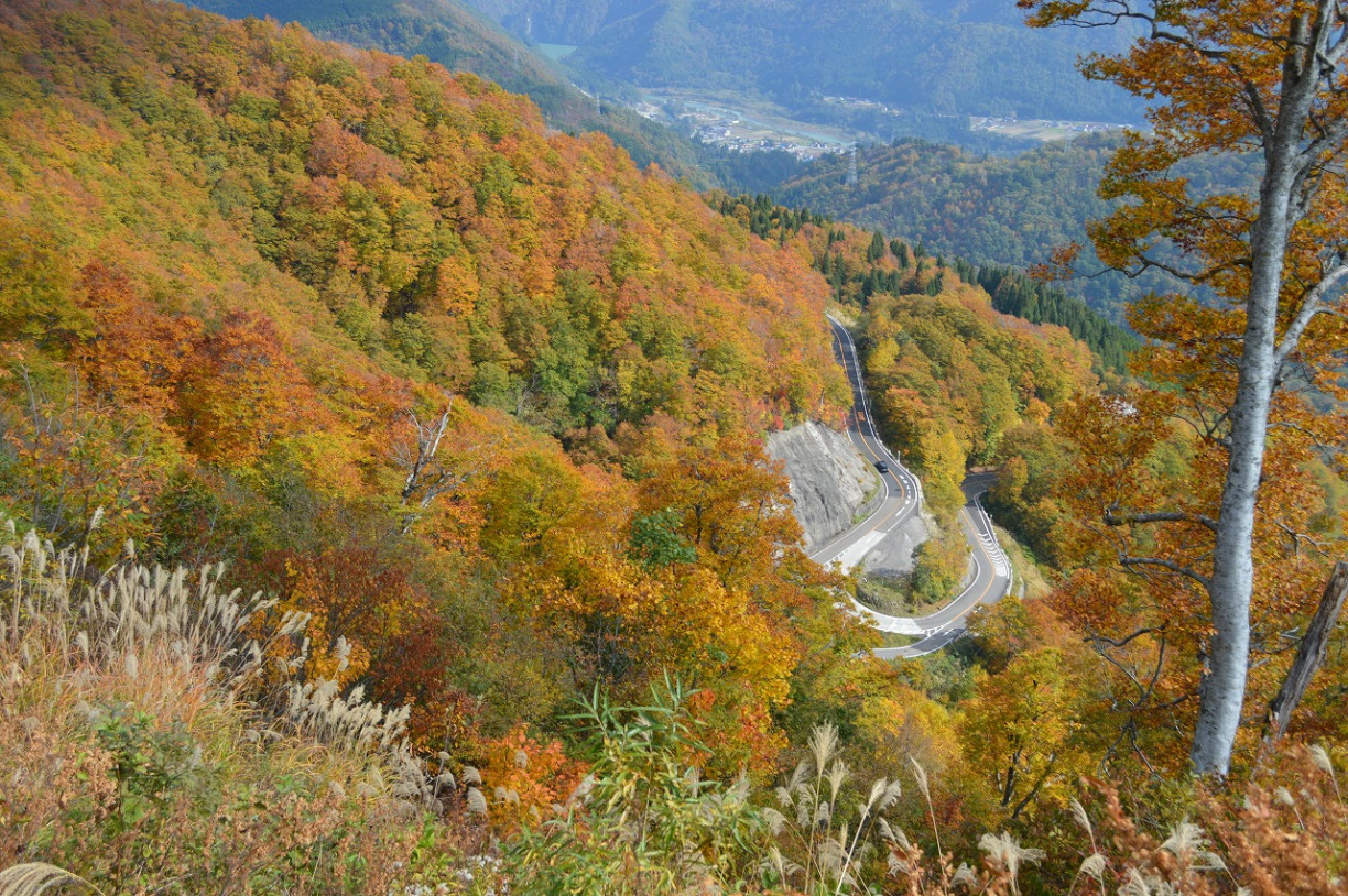 飛驒地區・紅葉景點6選