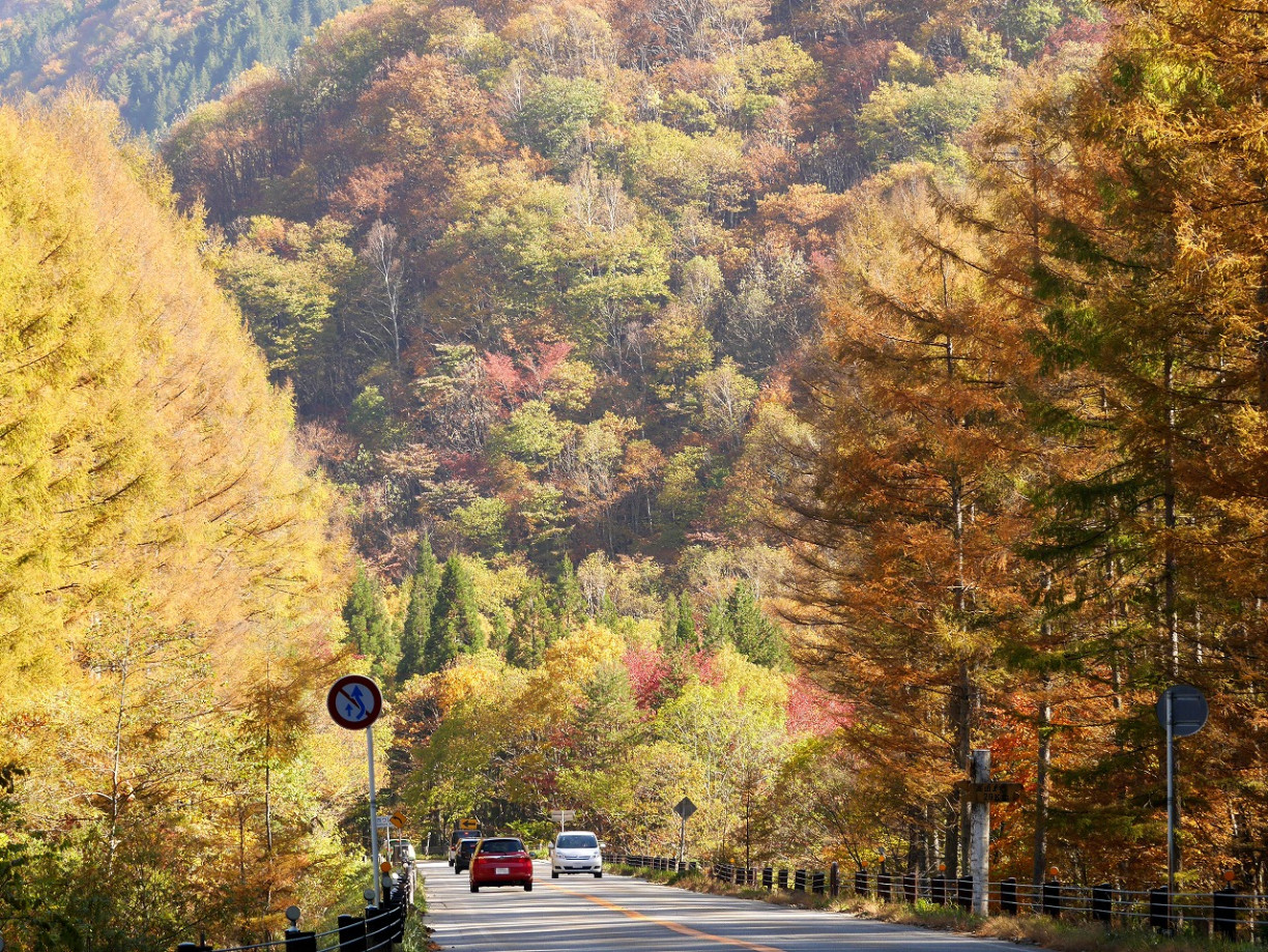 飛驒地區・紅葉景點6選