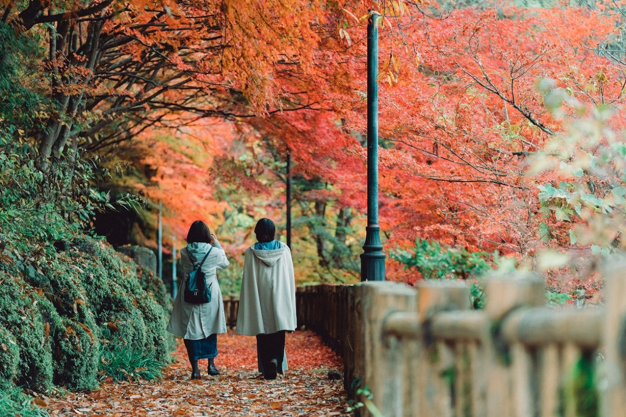 飛驒地區・紅葉景點6選