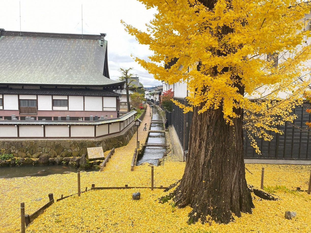 飛驒地區・紅葉景點6選