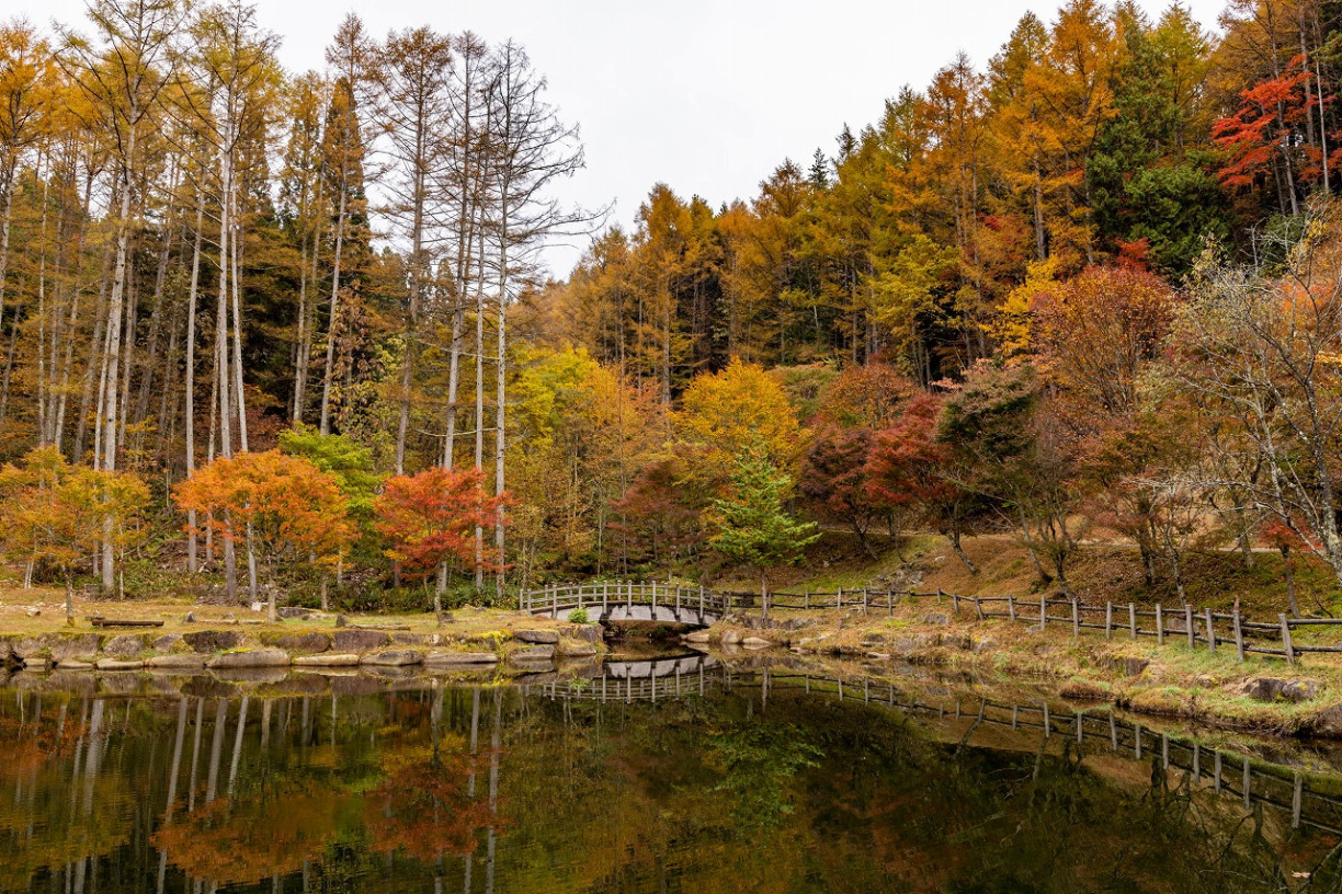 飛驒地區・紅葉景點6選