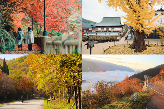 飛驒地區・紅葉景點6選