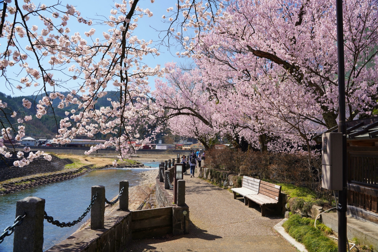 Overlooking the Miyagawa River behind Shinshuji