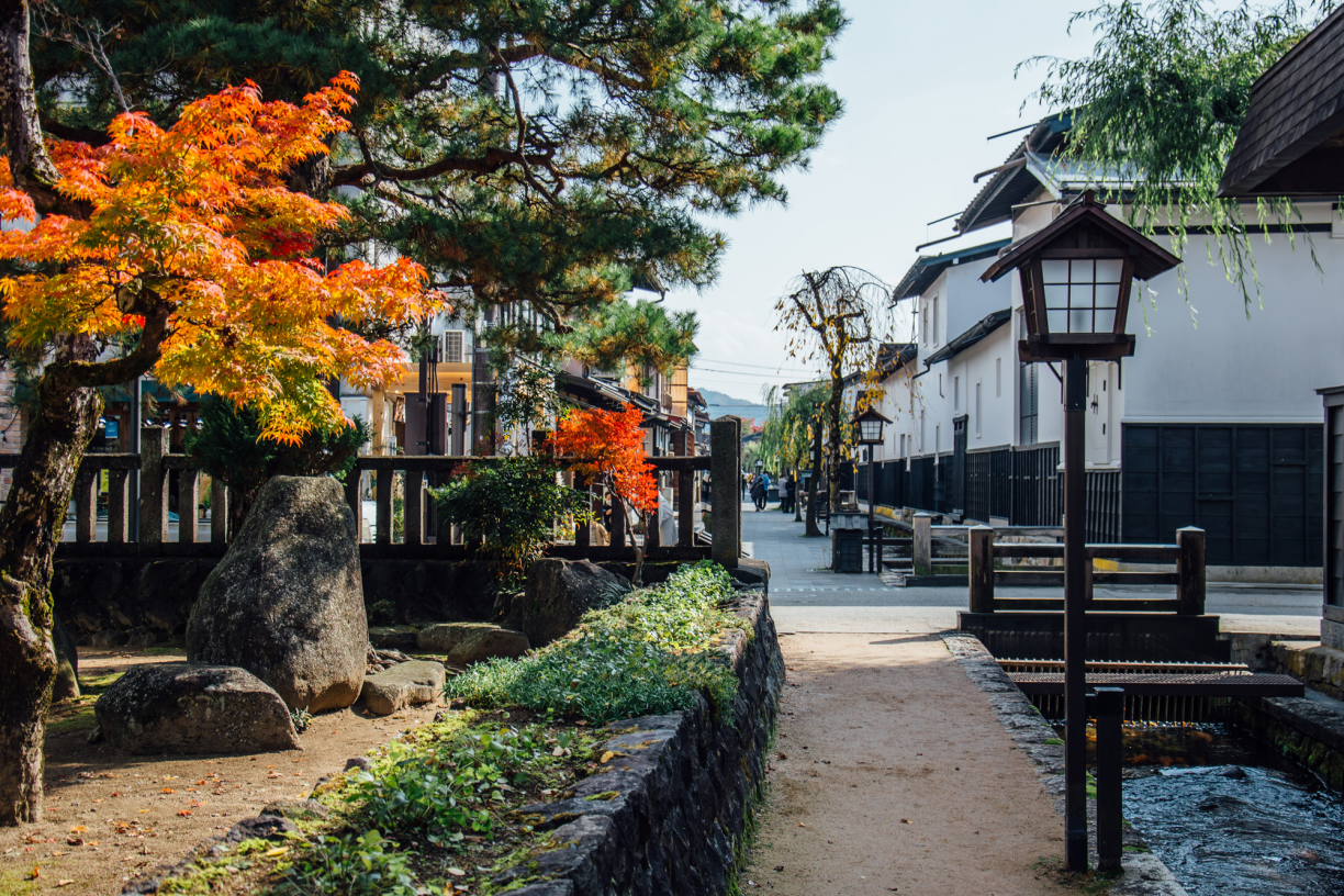 白壁土倉街紅葉如花