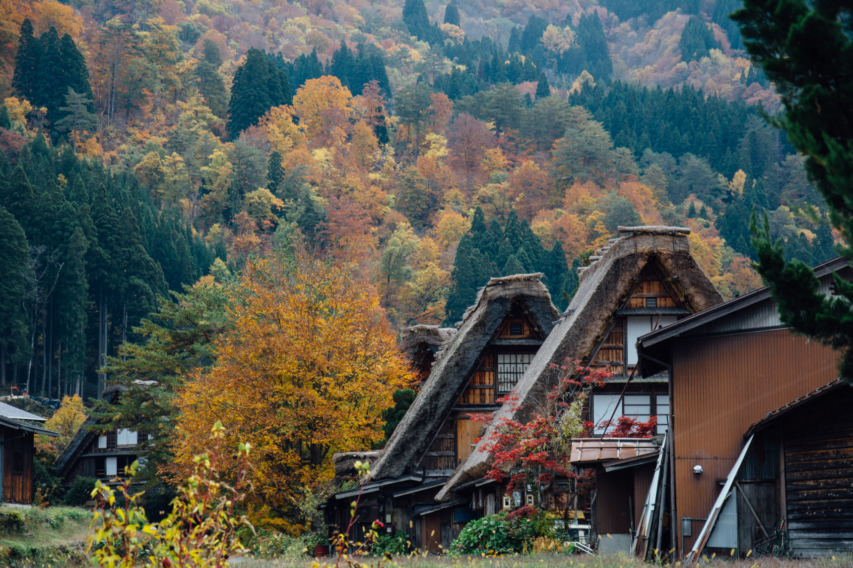 Day 1: Shirakawa-go (AM)