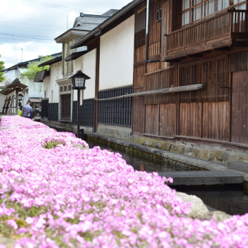 Shirakabe Dozogai Street