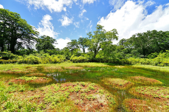 Amou Prefectural Nature Park & Marshlands