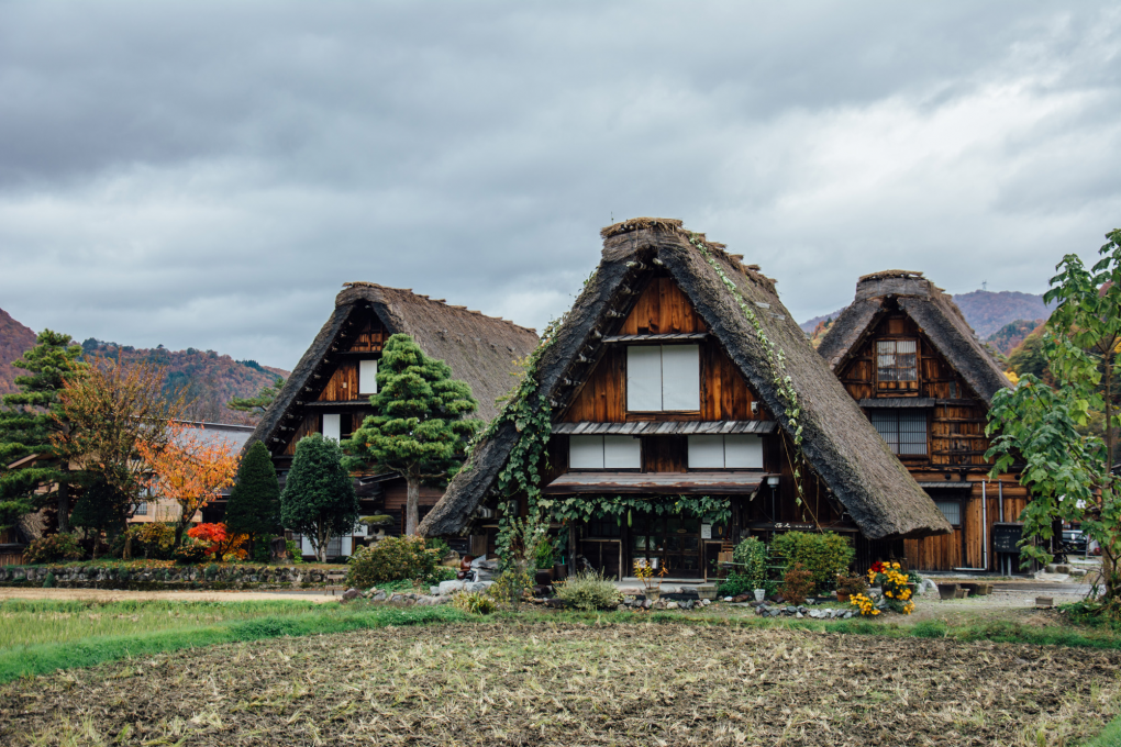 和田家