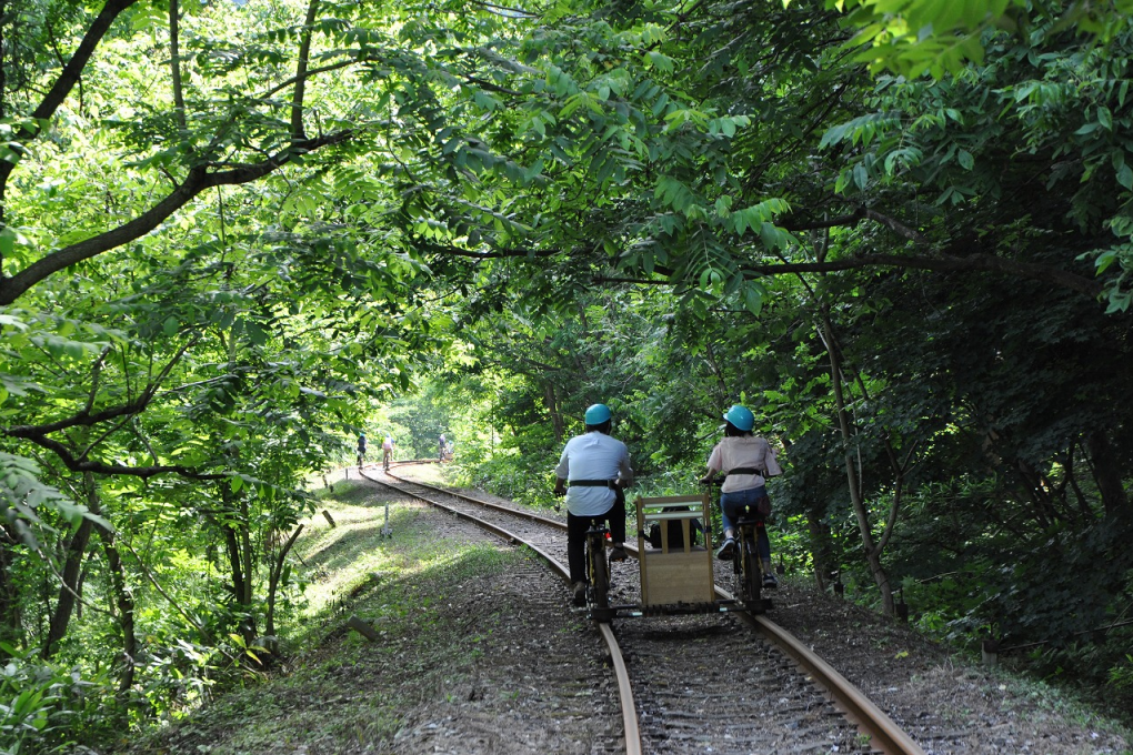 Rail Mountain Bike: Gattan Go