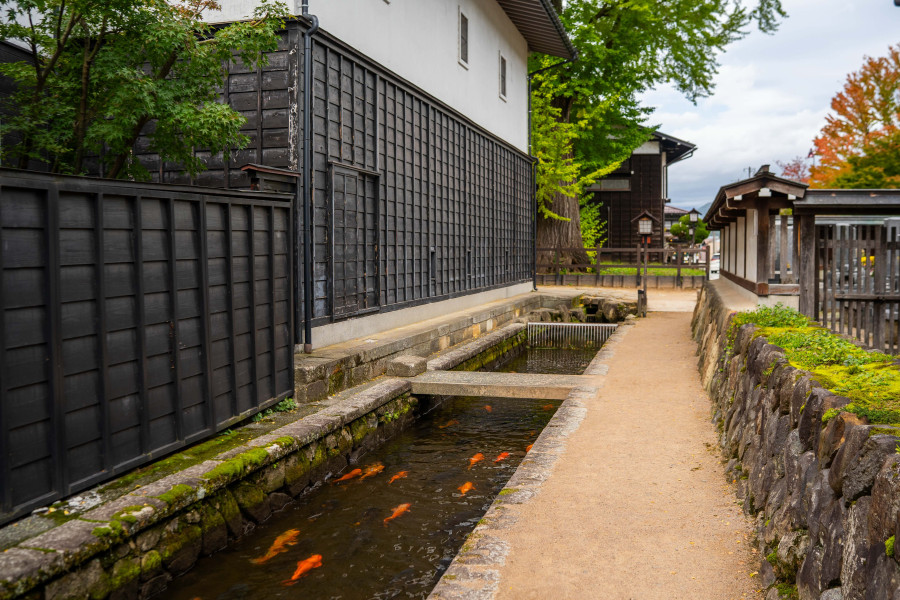 瀨戶川和鯉魚搬遷