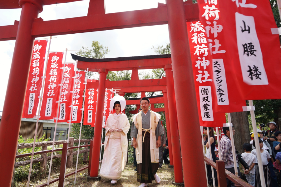 Fox Wedding Festival